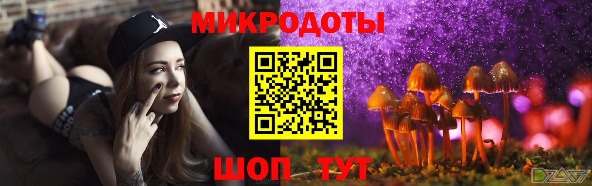 Галлюциногенные грибы прущие грибы Северобайкальск