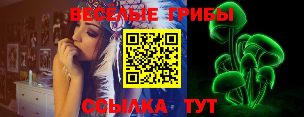 Северобайкальск  Псилоцибиновые грибы ЛСД  купить наркотики цена  Вход с VPN 